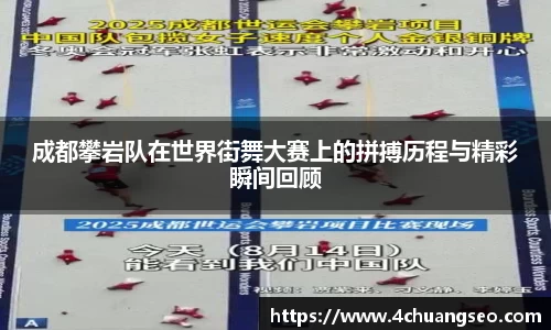 BB贝博艾弗森体育